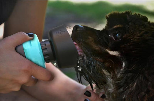 Foldable Dog Water Bottle